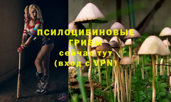 кокс Карпинск