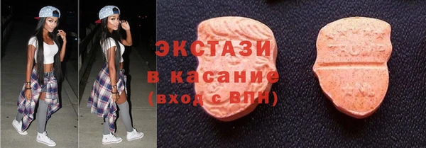сатива Каменка