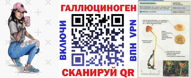 Купить закладки  Людиново  Галлюциногенные грибы Psilocybine cubensis 